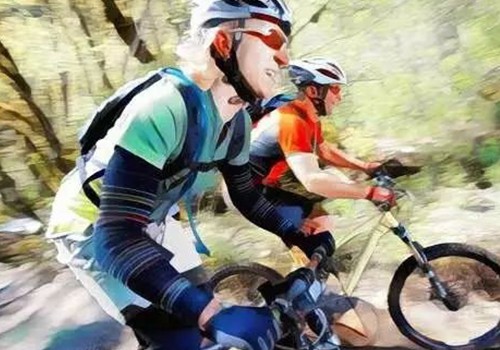 mountain bike2